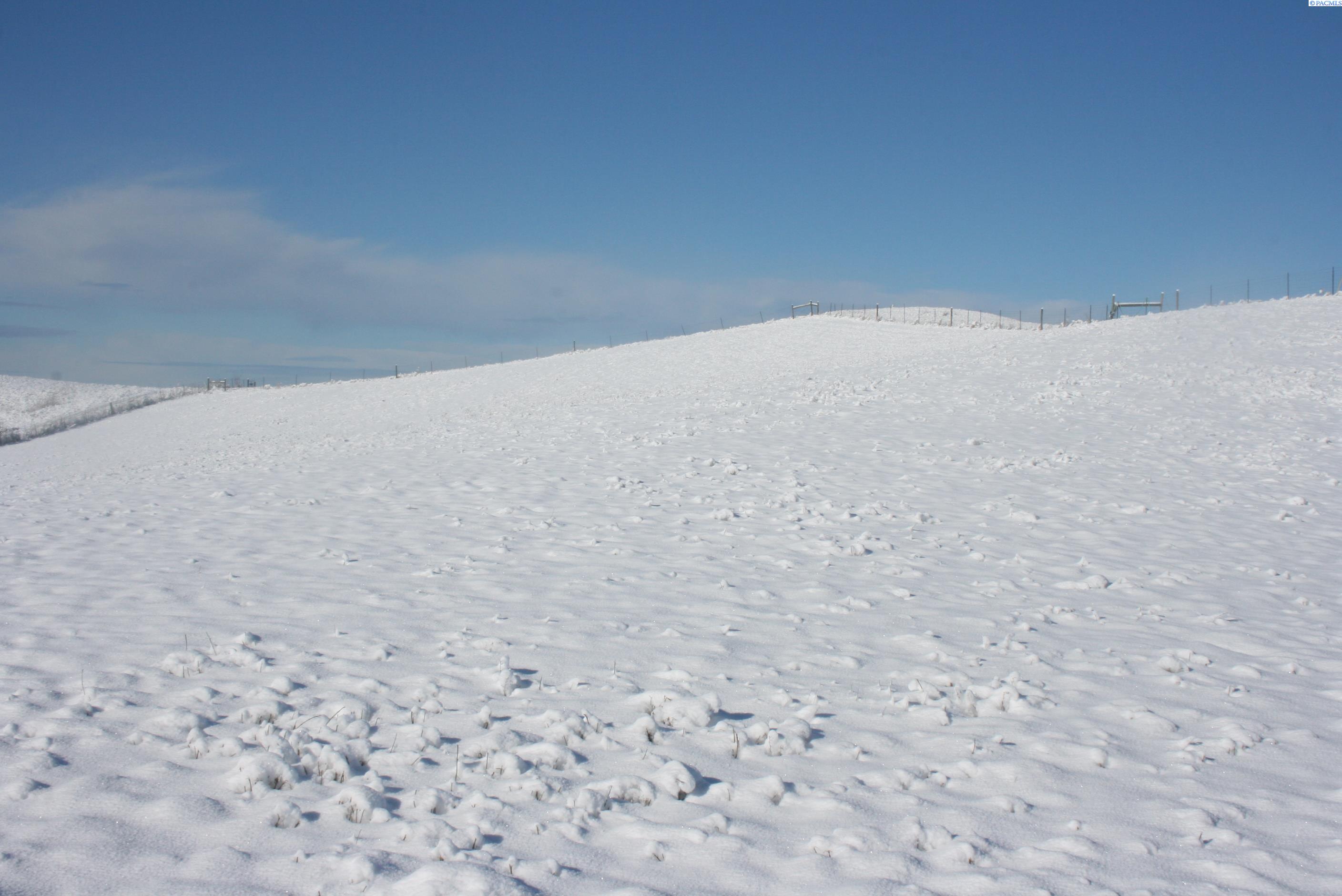 1283 Kitzmiller, Pullman WA 99163