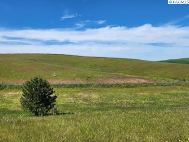 Homes for sale in Colfax, WA | Lot 9 Red Tail Ridge, Colfax, WA 99111 | MLS# 290901