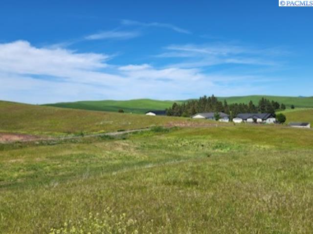 Homes for sale in Colfax, WA | Lot 9 Red Tail Ridge, Colfax, WA 99111 | MLS# 290901