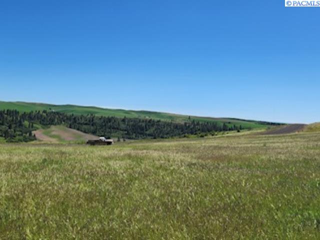 Homes for sale in Colfax, WA | Lot 9 Red Tail Ridge, Colfax, WA 99111 | MLS# 290901