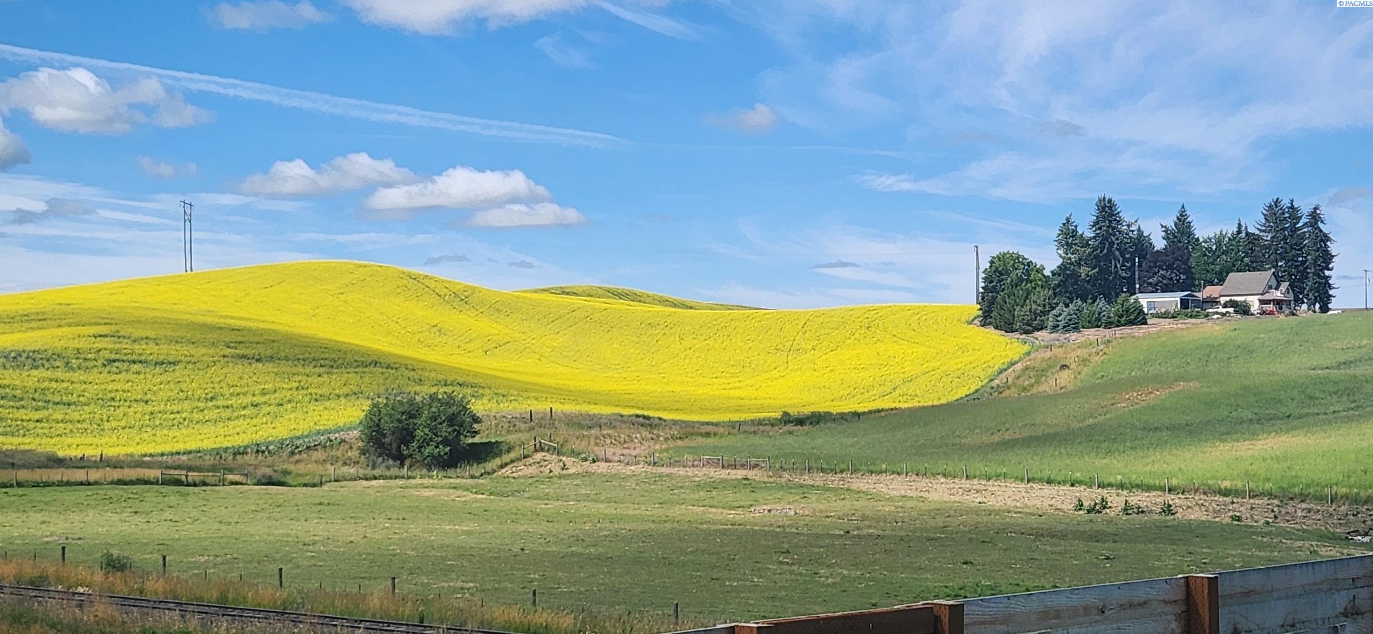 Homes for sale in Palouse, WA | 609 Harvest Loop, Palouse, WA 99161 | MLS# 291014