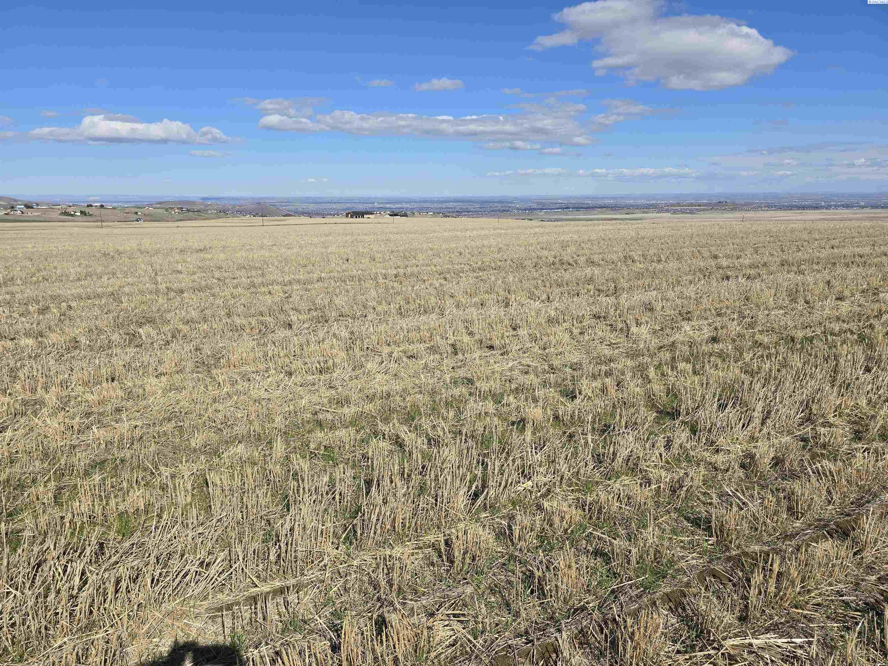 50411 C Williams Rd, Kennewick, WA 99338