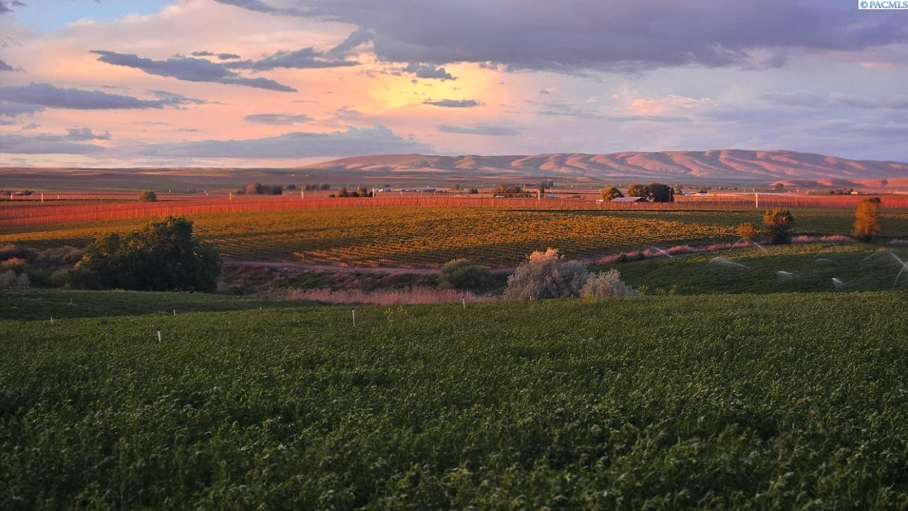 125498 Mccreadie Rd, Prosser, WA 99350