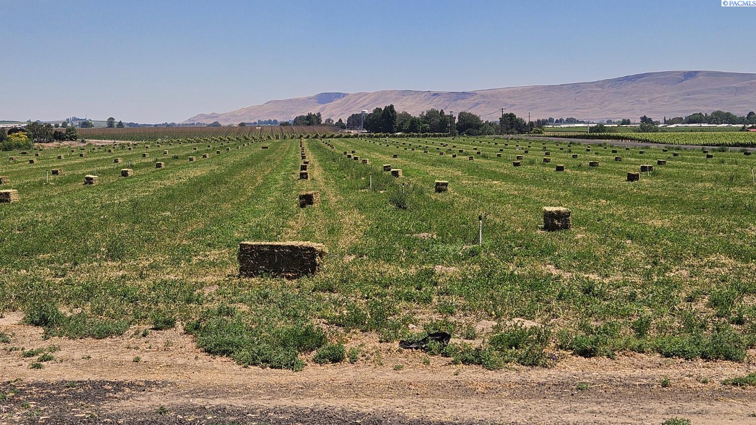 125498 Mccreadie Rd, Prosser, WA 99350