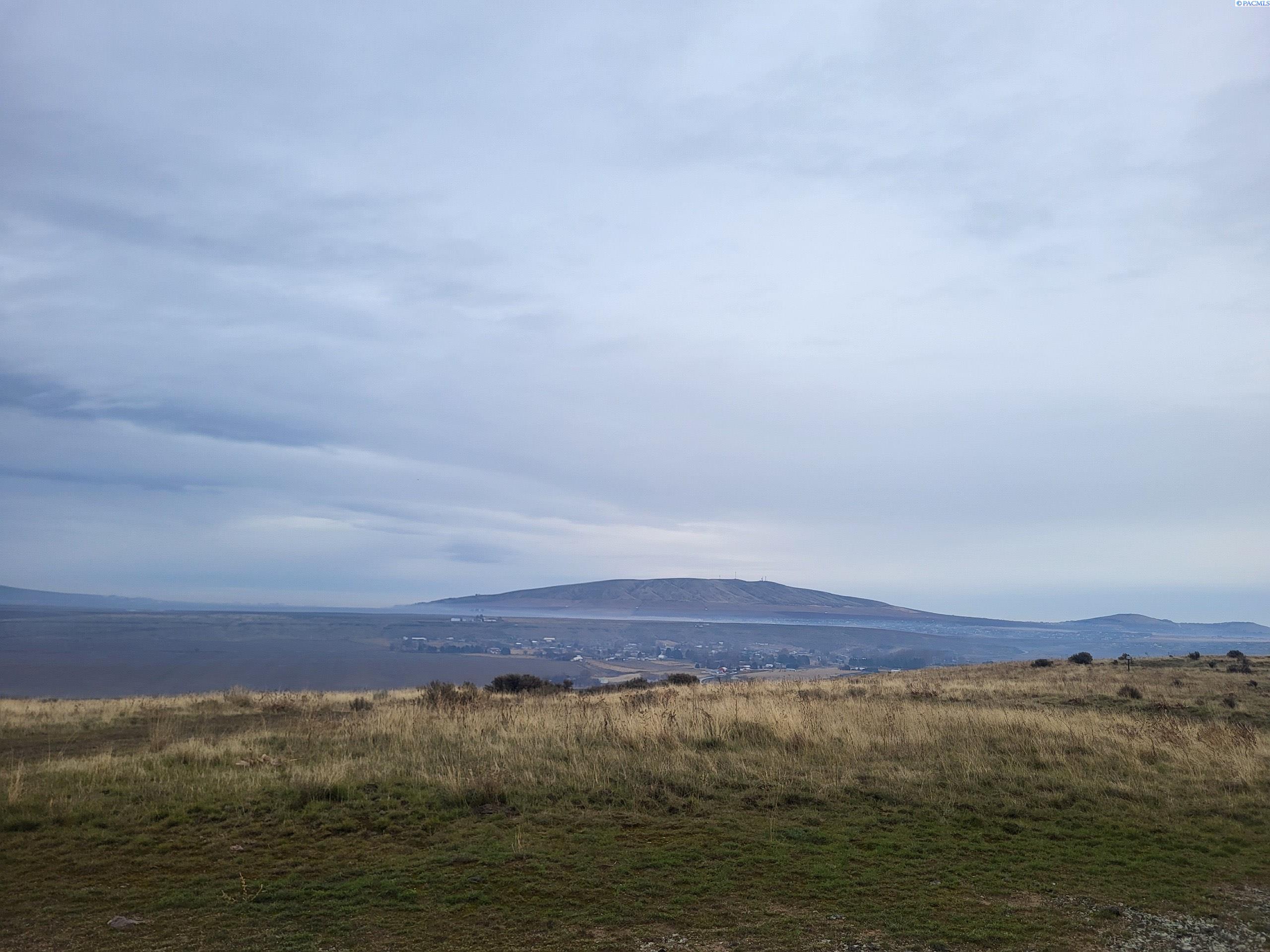 TBD 95 Prse , Benton City, WA 99320