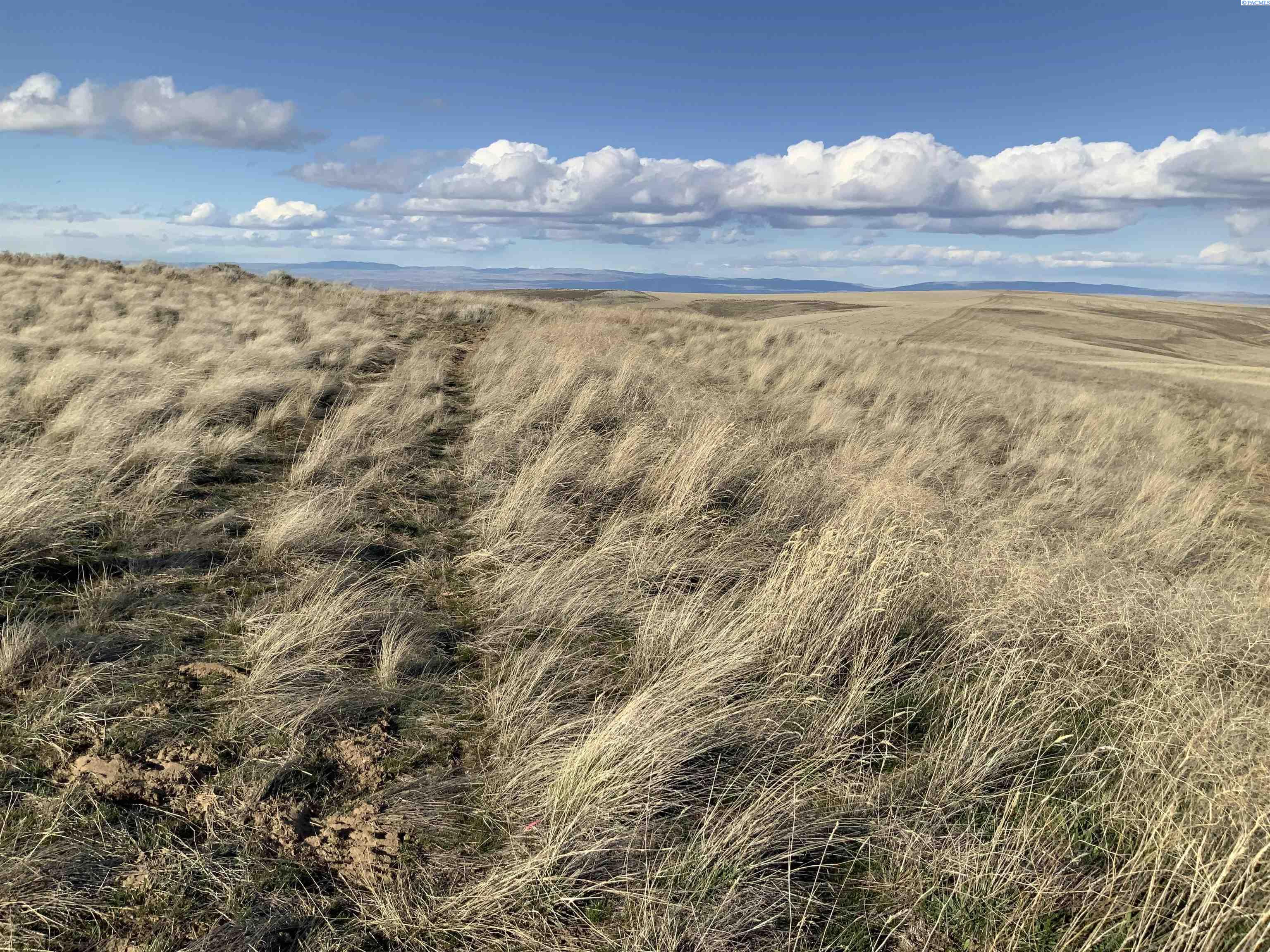 15283 Mabton-Bickleton Rd, Mabton WA 98935