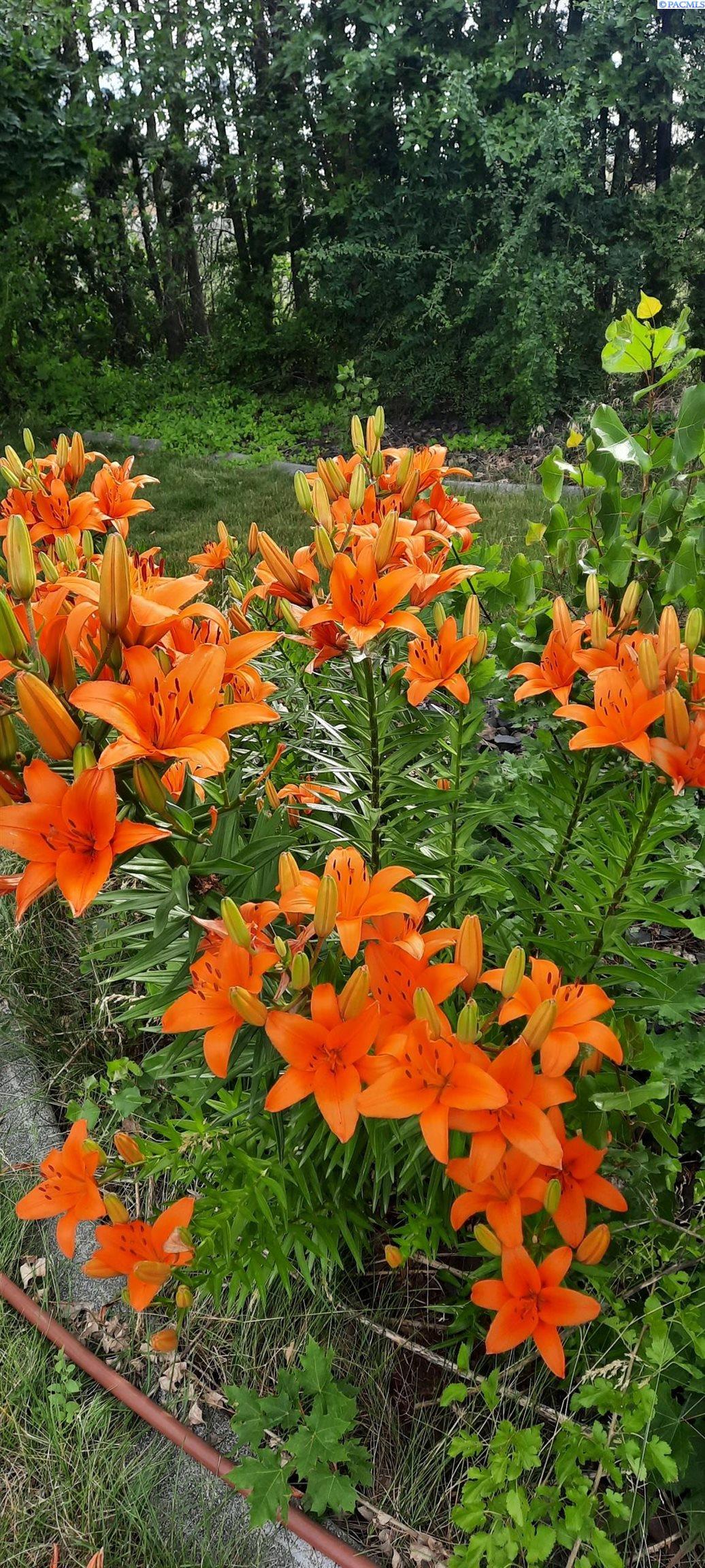 168802 Johnson Rd, Prosser, WA 99350-8245