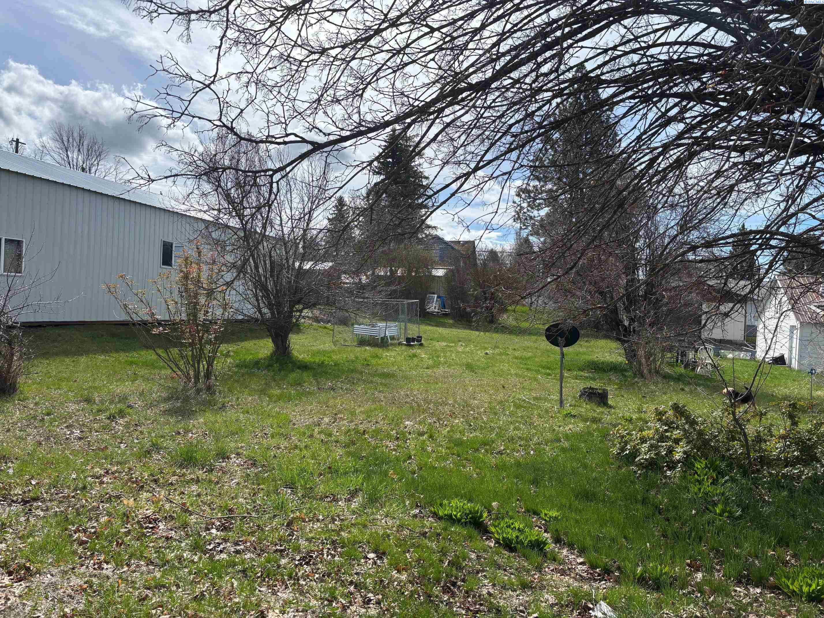 TBD E Bluff St, Palouse WA 99161