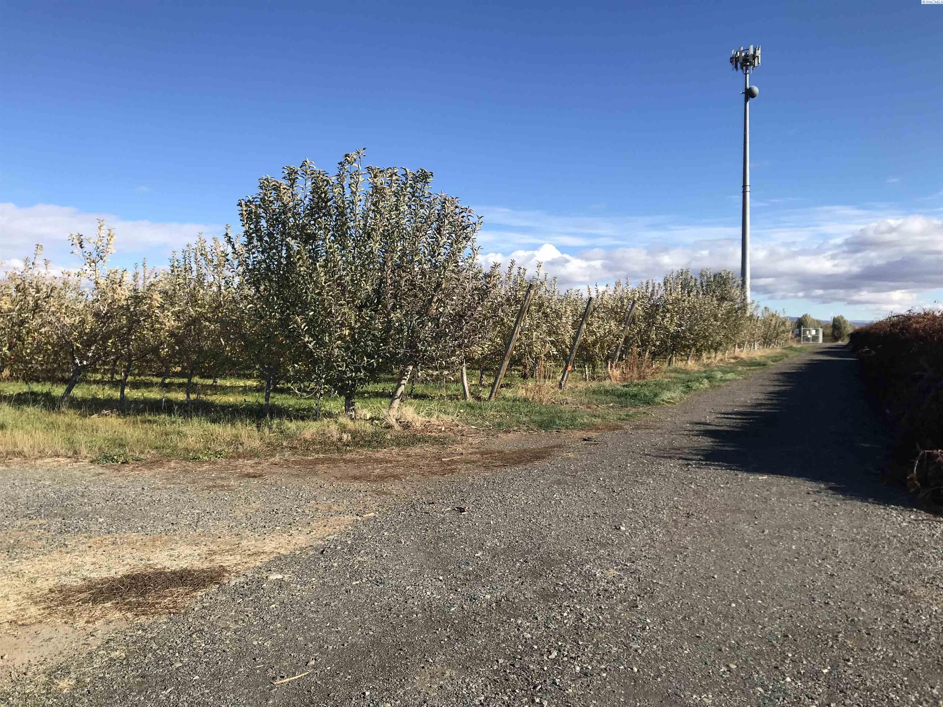 NKA Lateral B Road, Wapato WA 98951-0000
