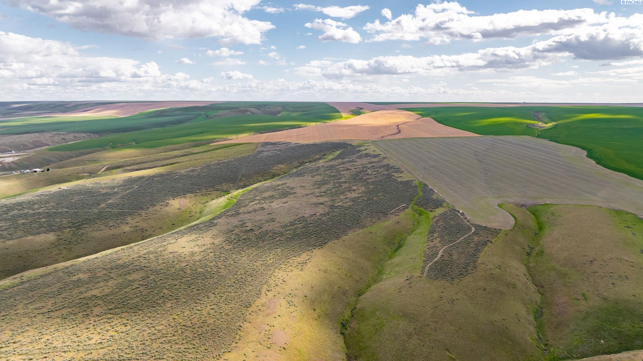 NKA 506 Prse , Benton City, WA 99320