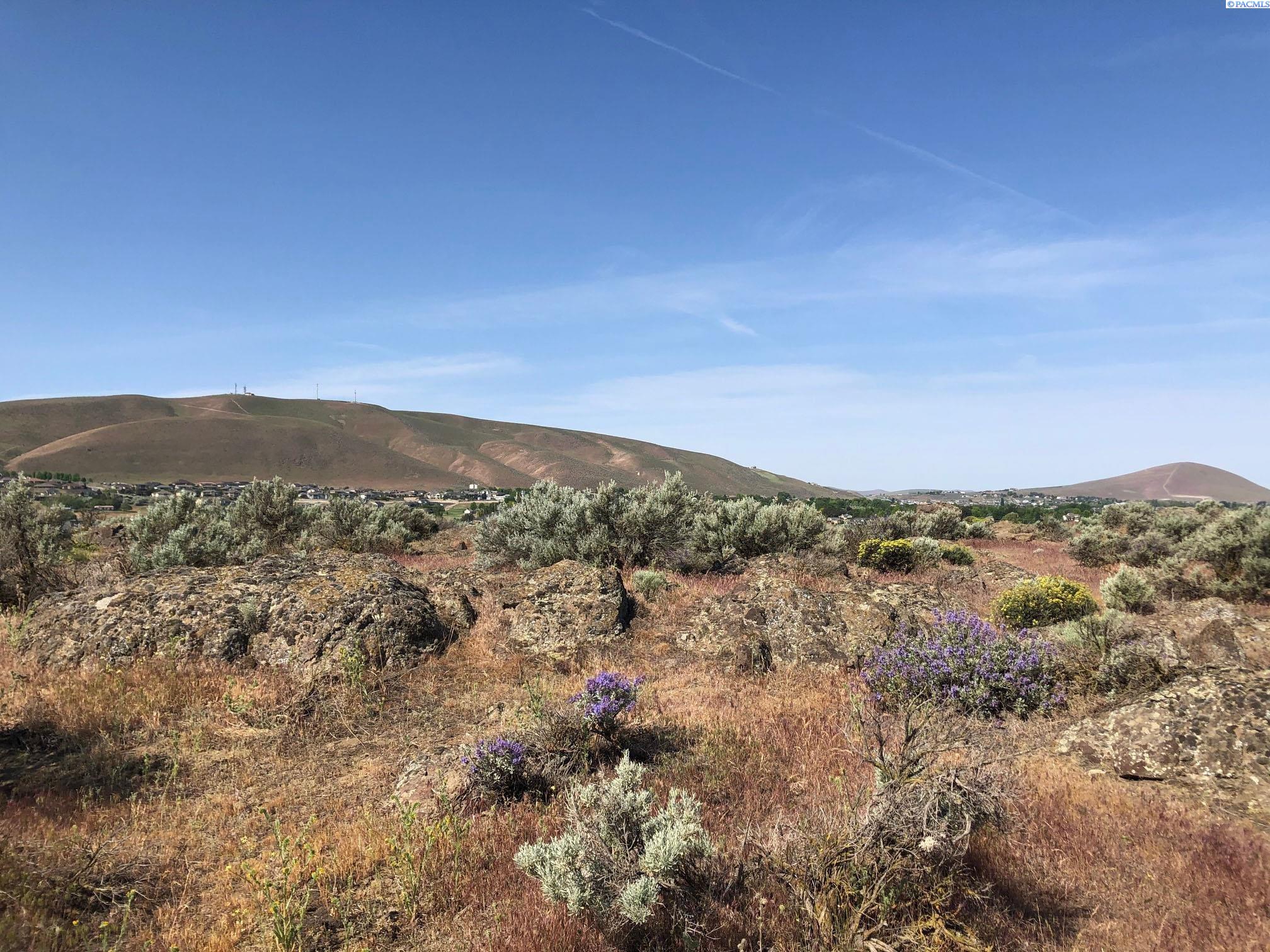 1009 Sunhaven Pl, Richland, WA 99352