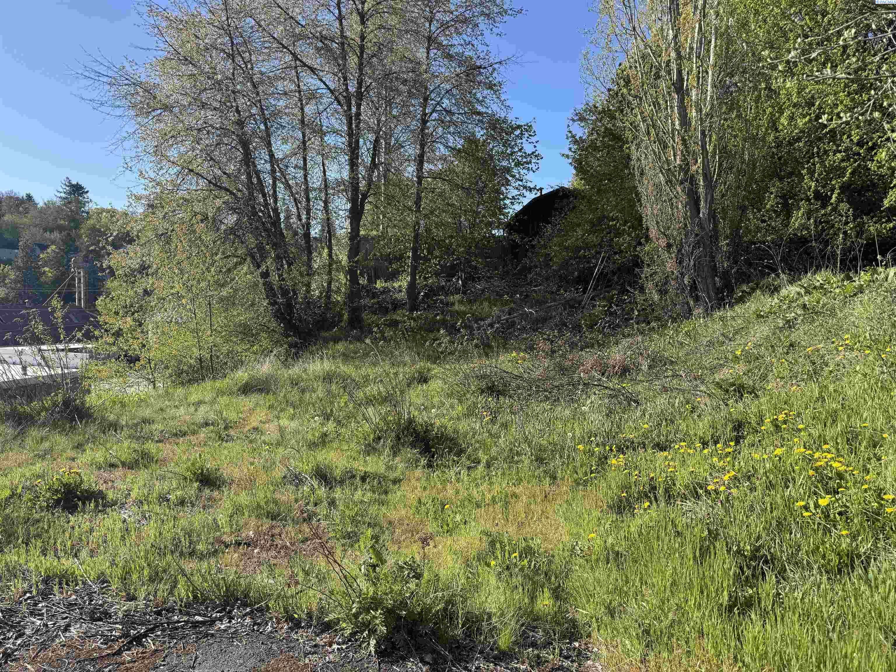 129 True , Pullman, WA 99163