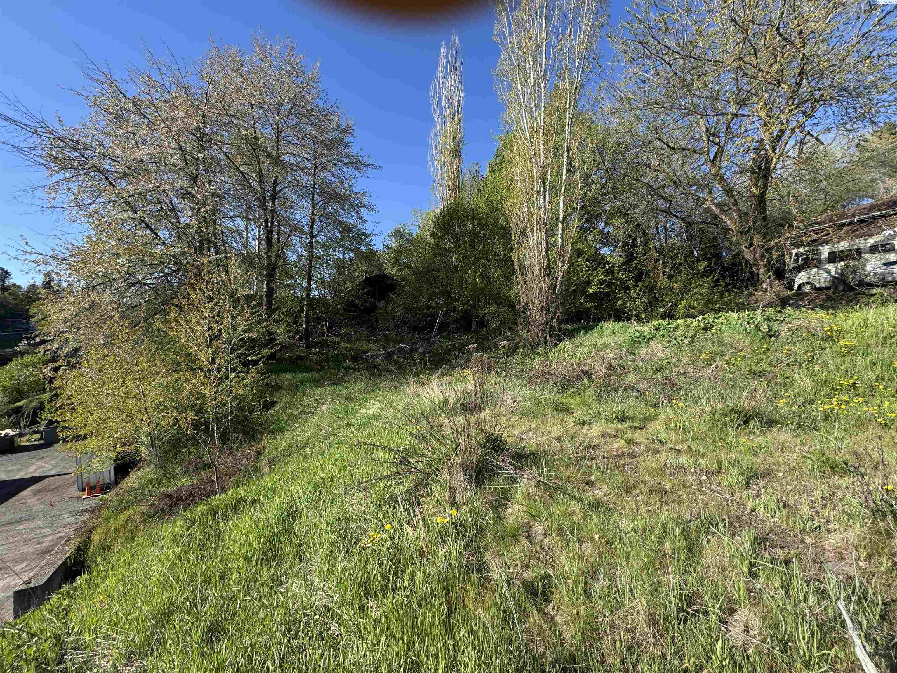 129 True , Pullman, WA 99163