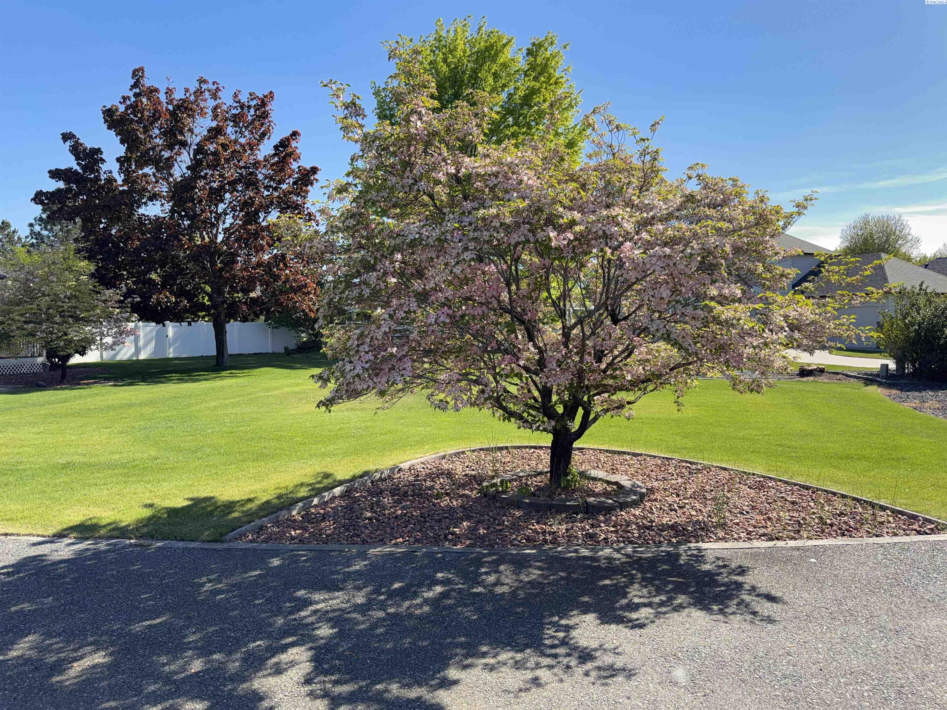 3003 Mt Stuart Ct, West Richland, WA 99353