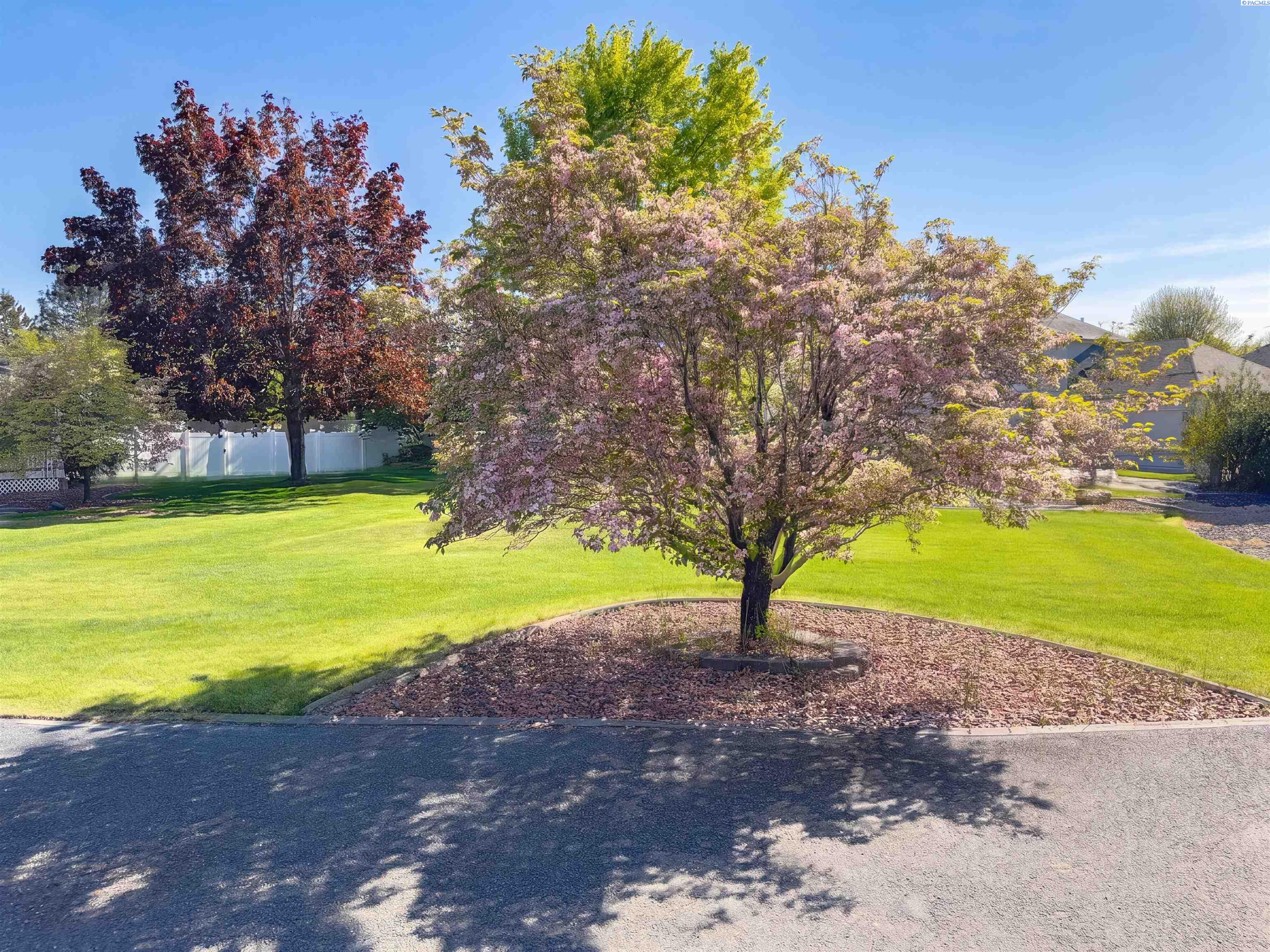 3003 Mt Stuart Ct, West Richland, WA 99353