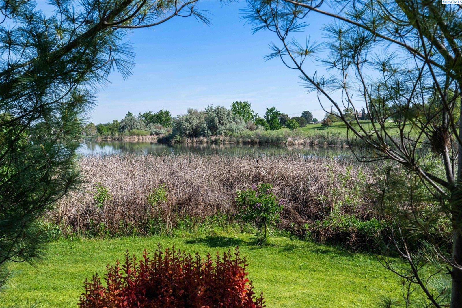 317 Lakeview Ct, Richland, WA 99352