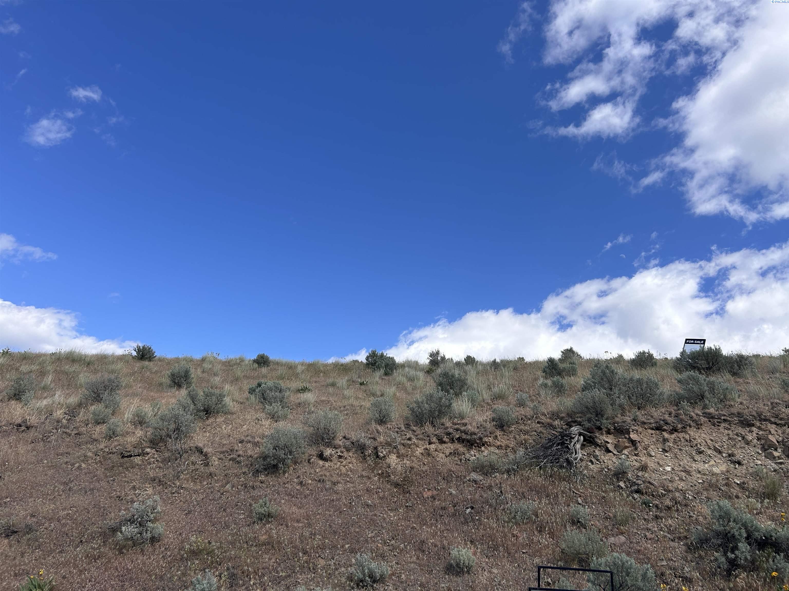 TBD Lincoln Grade Rd, Prosser, WA 99350