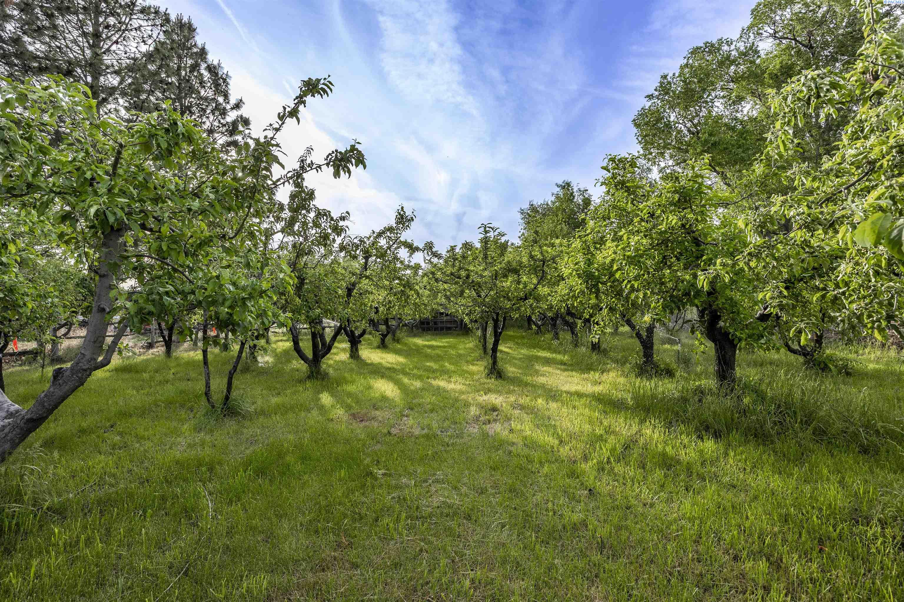NKA Kendall Rd, Benton City, WA 99320