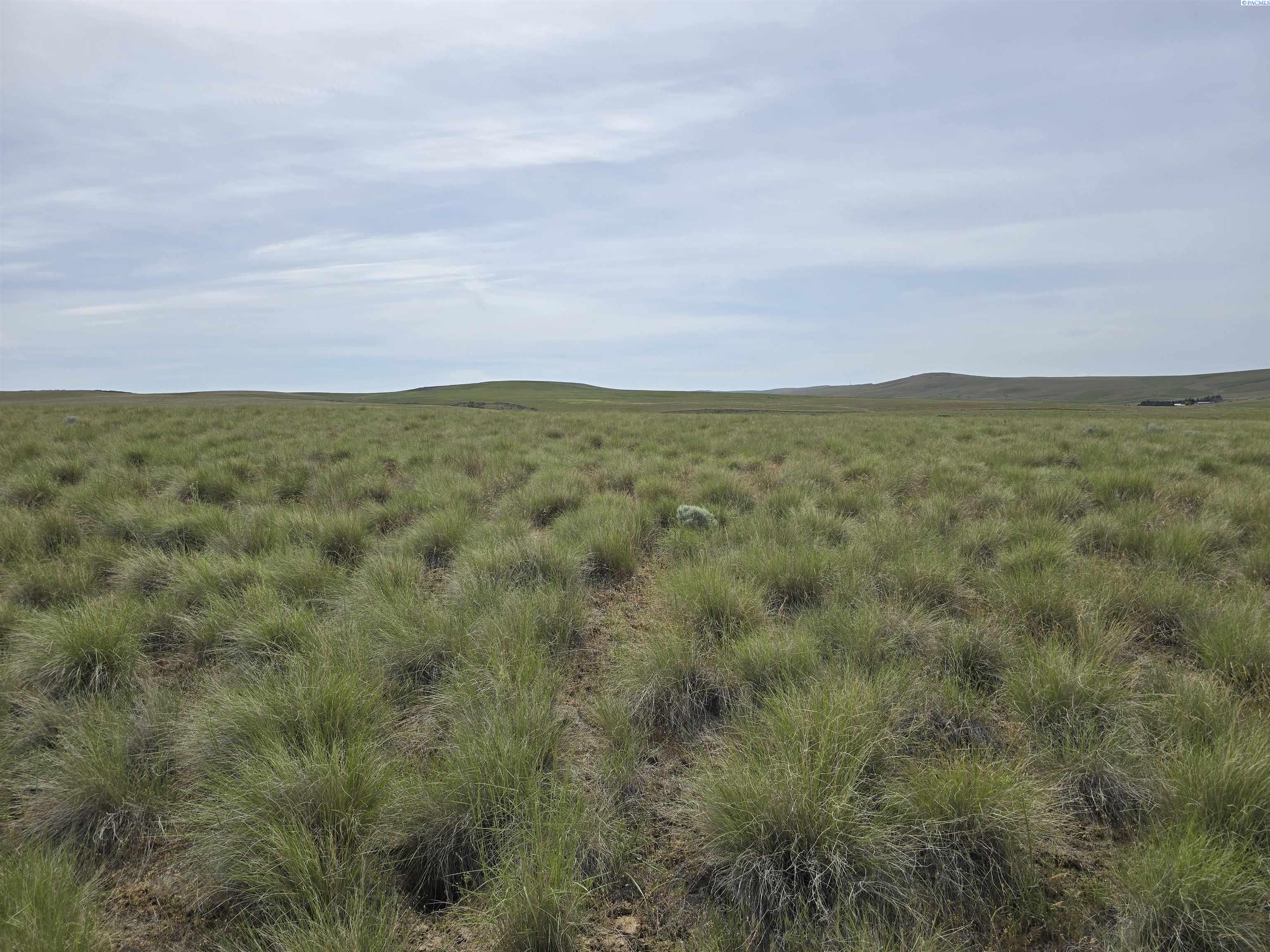 25 Turpin Rd (Lot 5), Mabton WA 98935