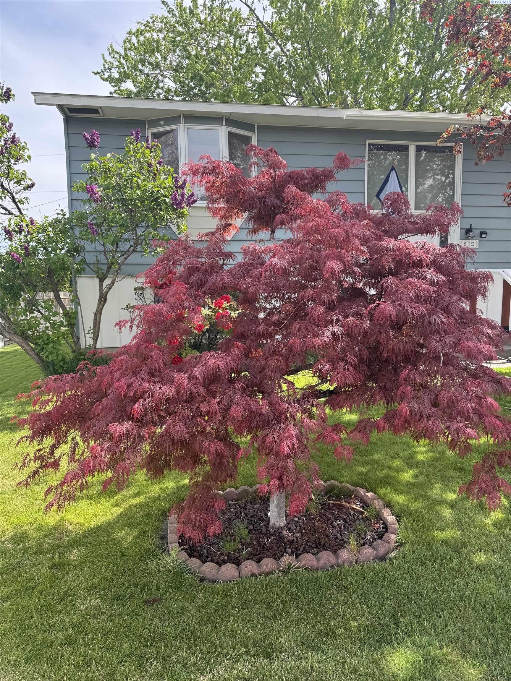 219 Olson St, Kennewick, WA 99336