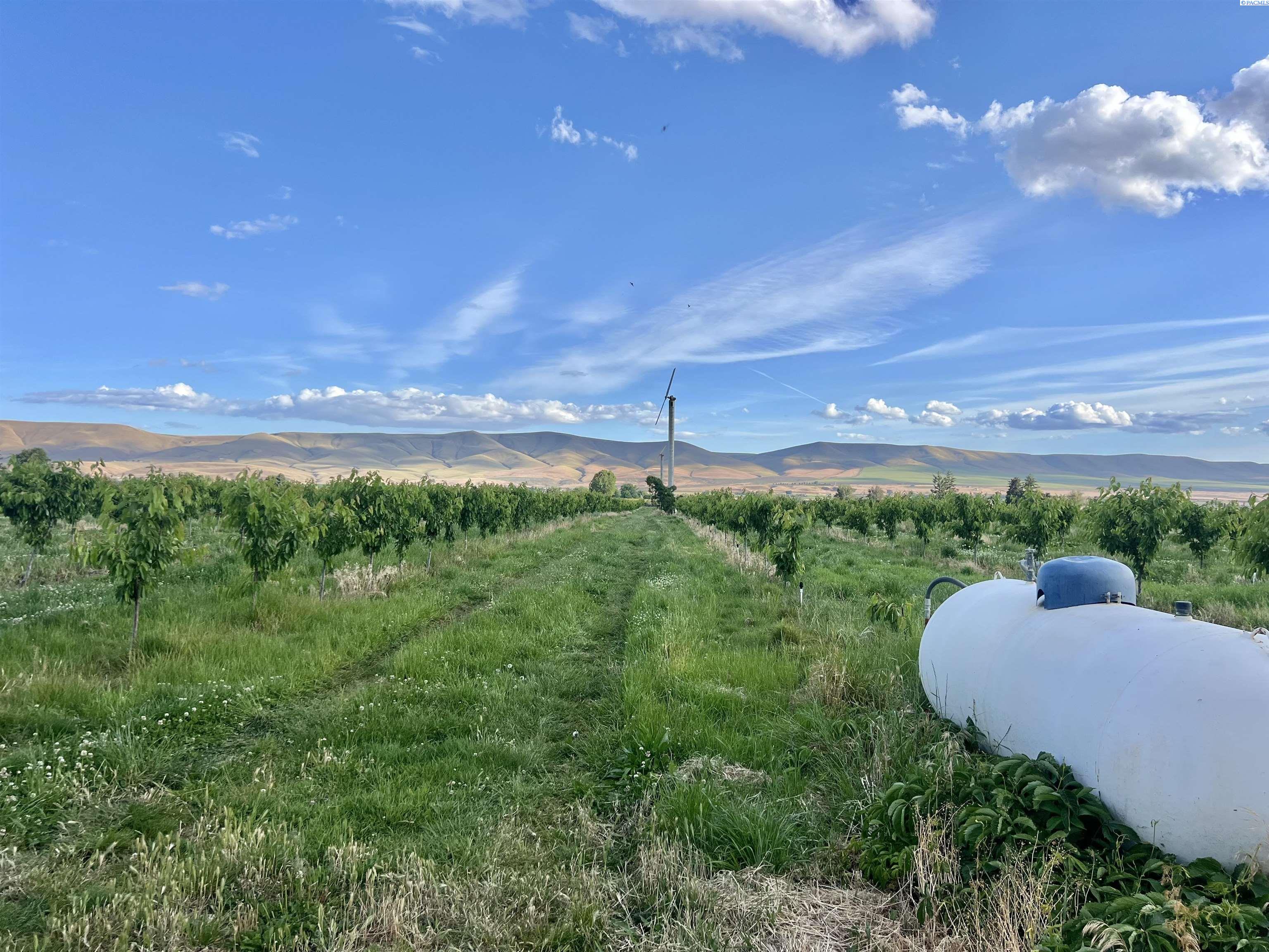 TBD Robinson Rd, Grandview WA 98930