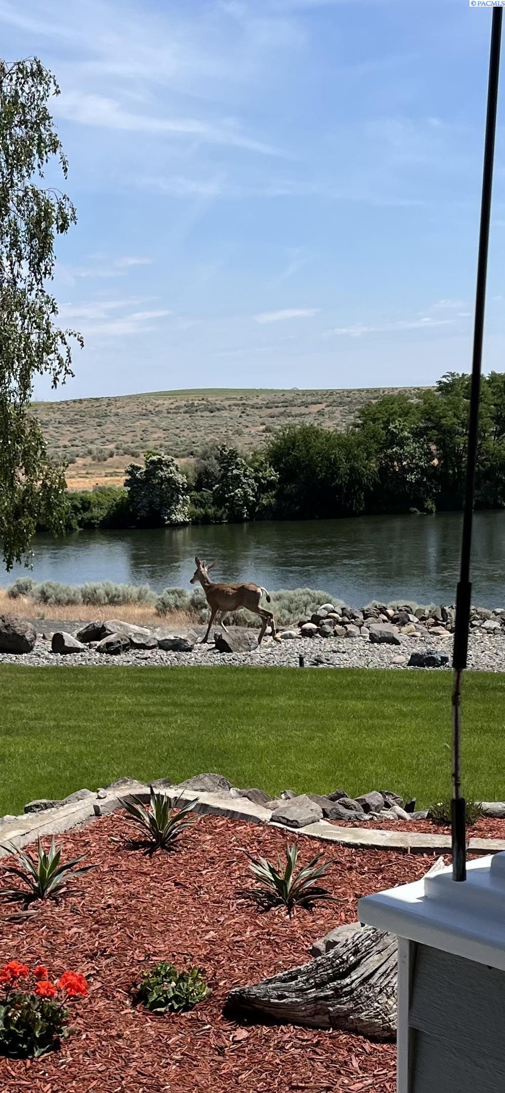 45204 Shannon , West Richland, WA 99353-8705