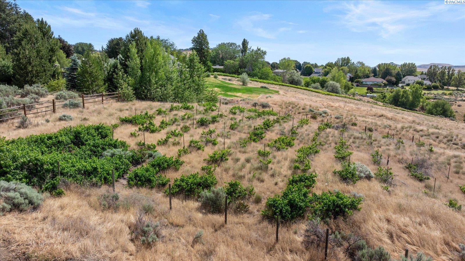 505 Agua Mansa Ct, Kennewick, WA 99338