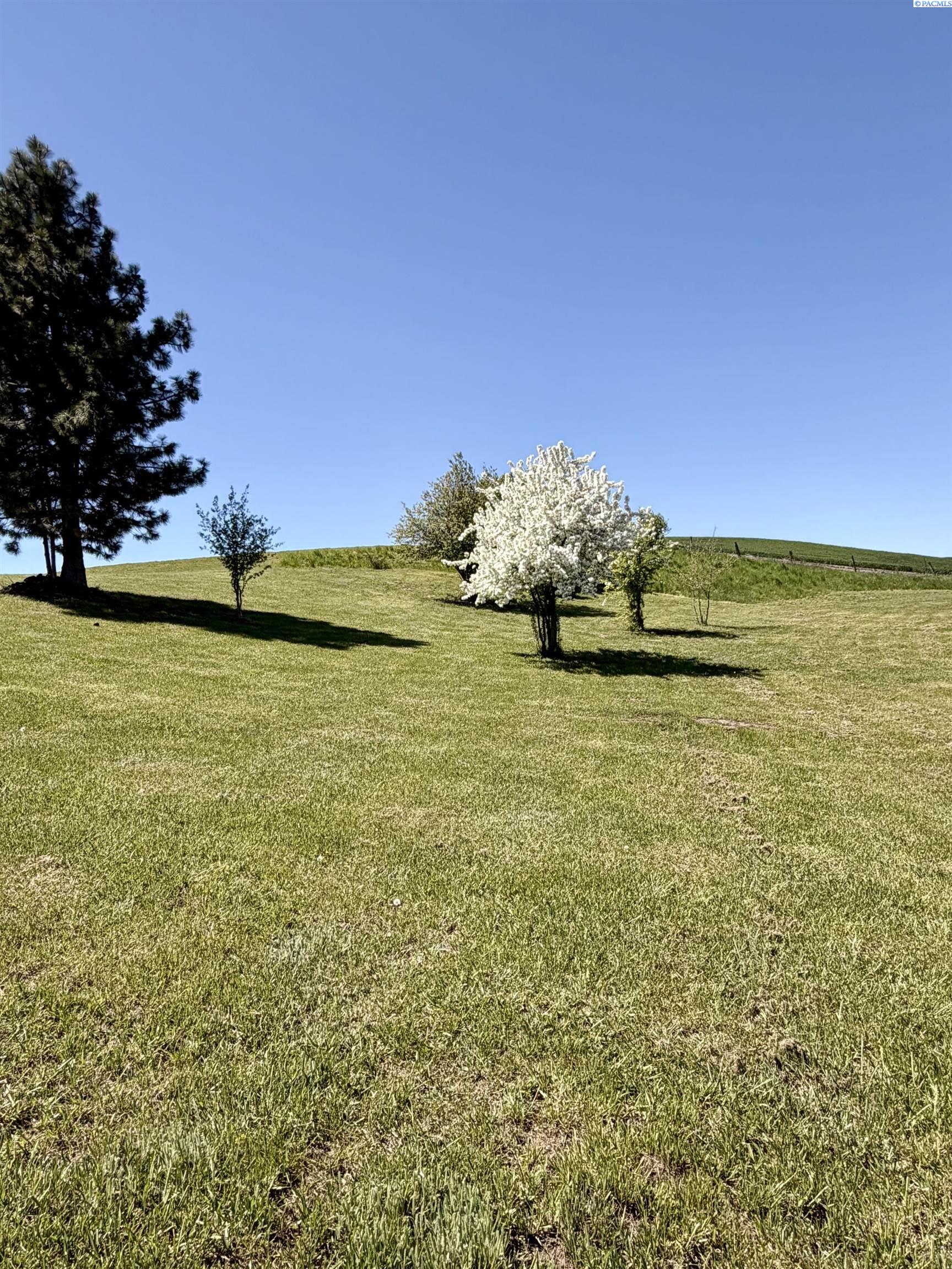 107 S 10th, Garfield WA 99130