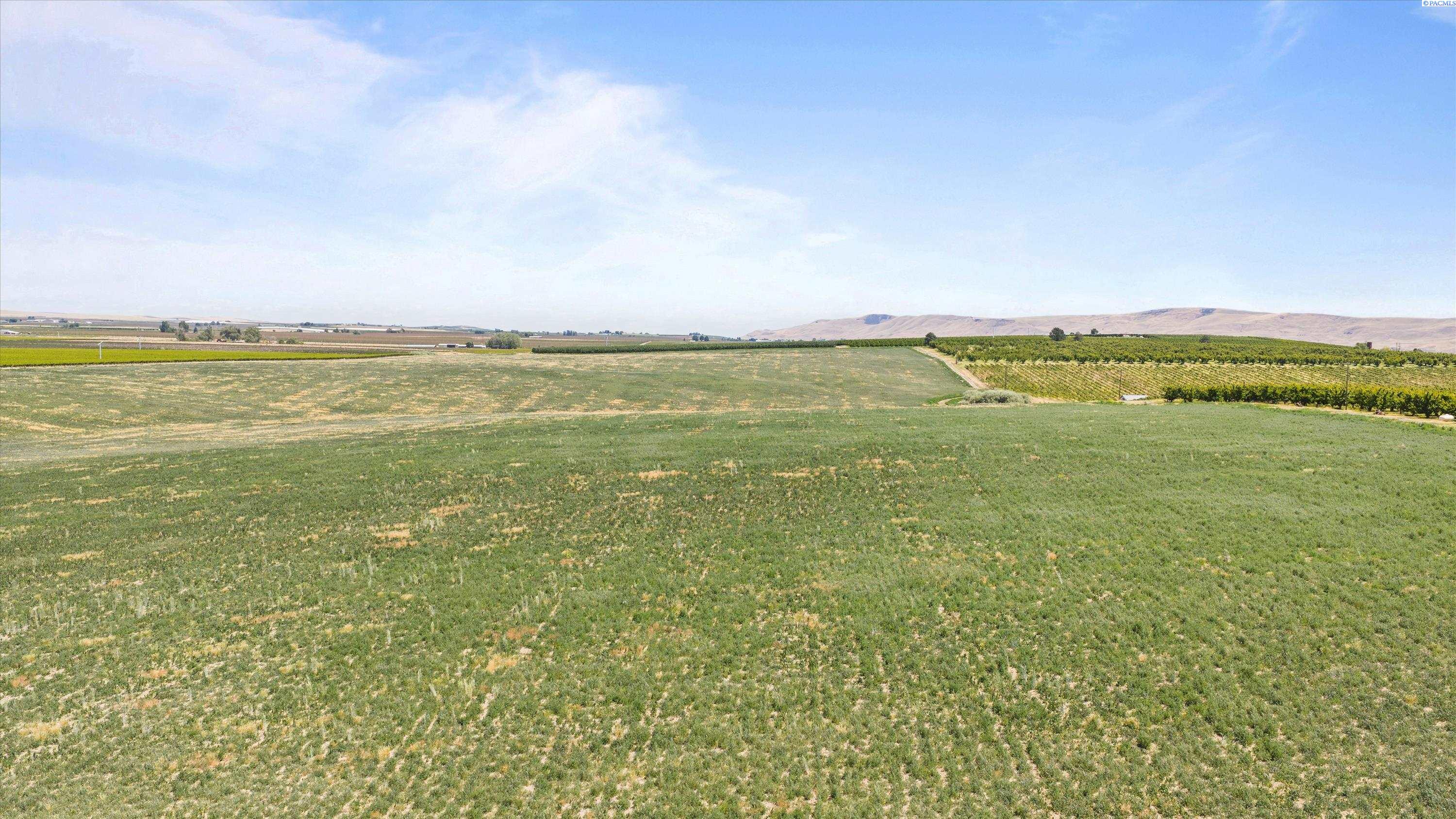 1000 Nka Gap Rd, Prosser, WA 99350