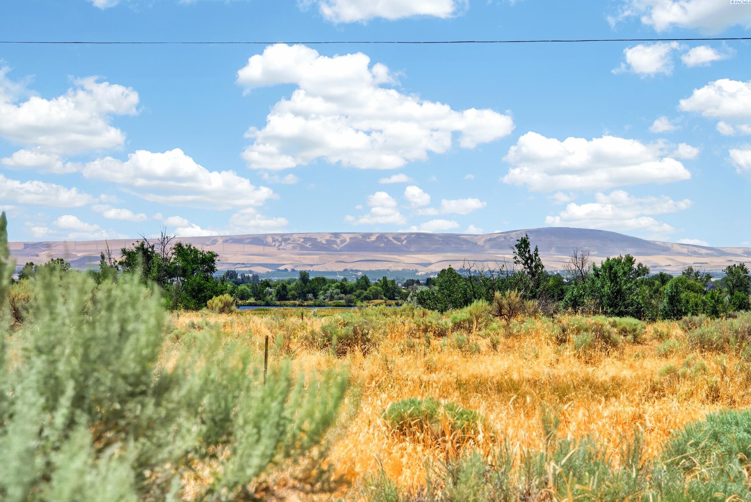 251 Hanson Loop, Burbank, WA 99323