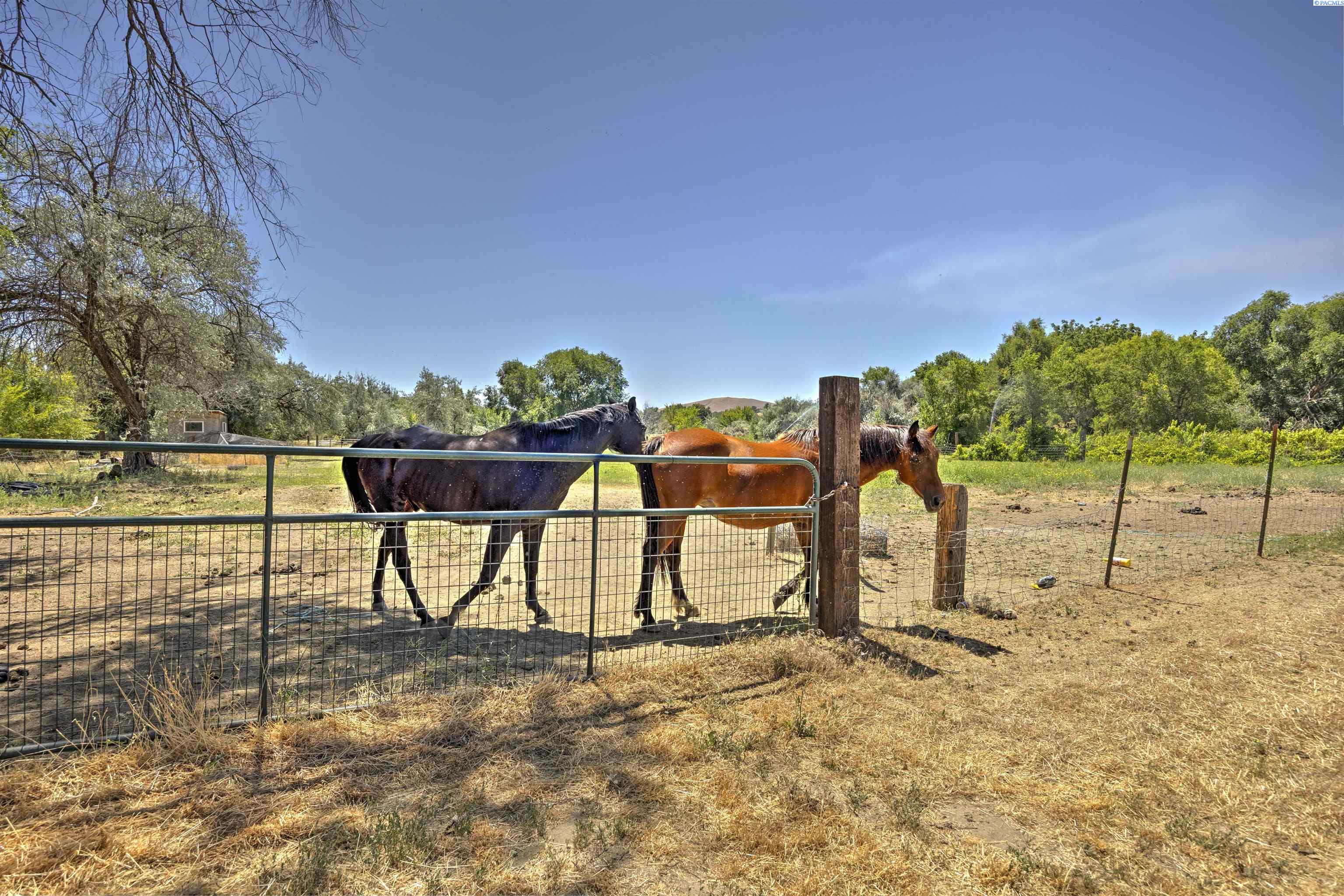 2975 Hyde Rd, Richland, WA 99354
