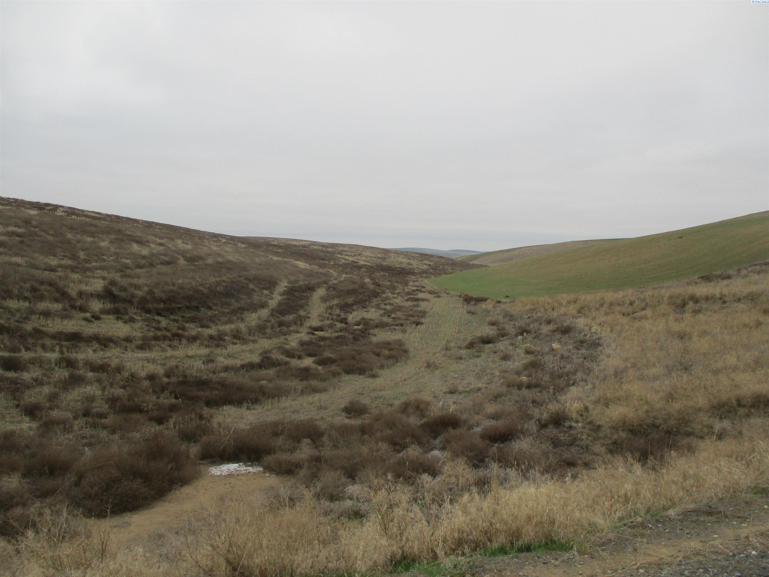 nka Rice Rd, Kahlotus, WA 99335