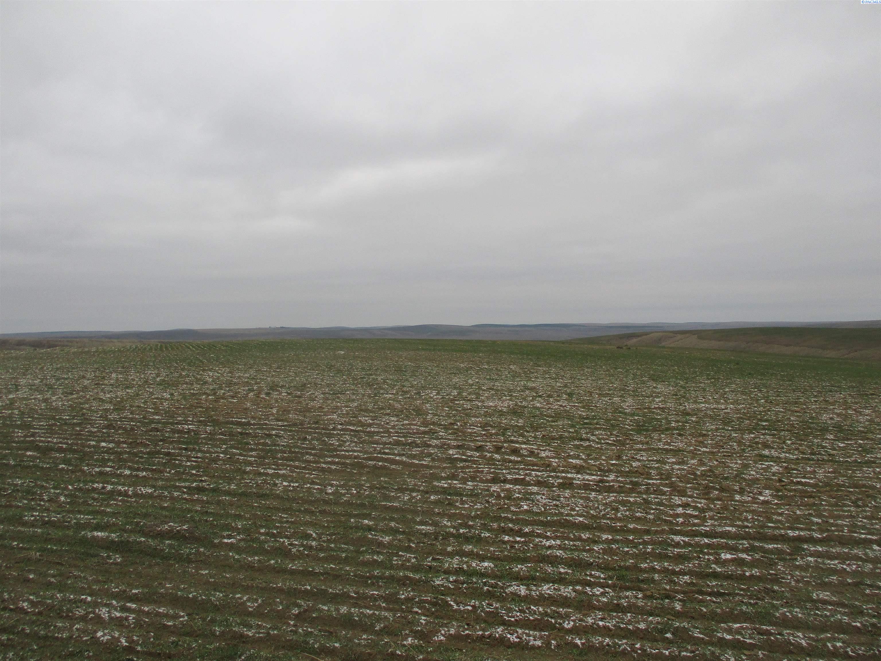 nka Rice Rd, Kahlotus, WA 99335