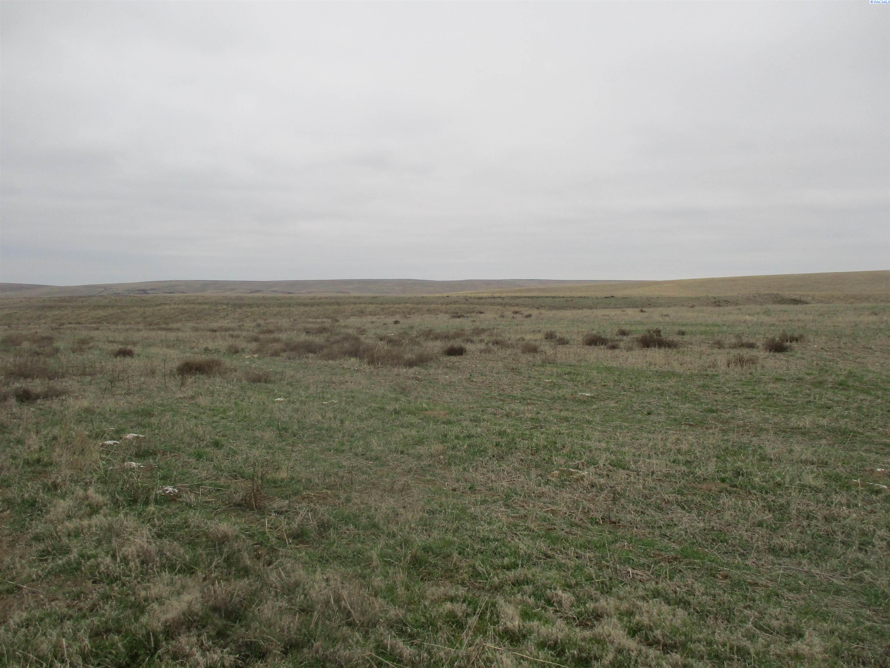 nka Rice Rd, Kahlotus, WA 99335