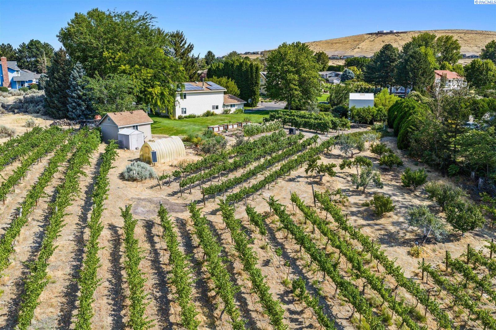 97603 E Alhambra Rd, Kennewick, WA 99338