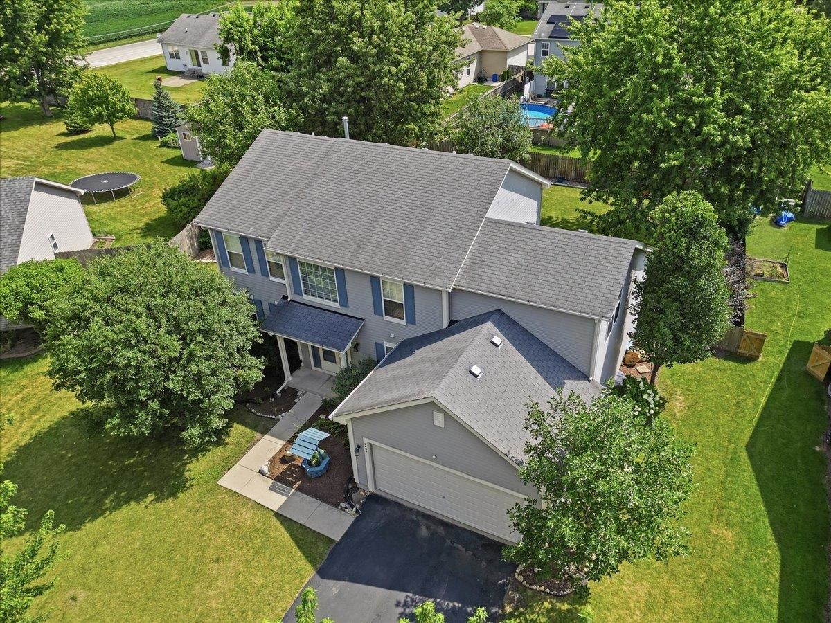 3464 Basswood
