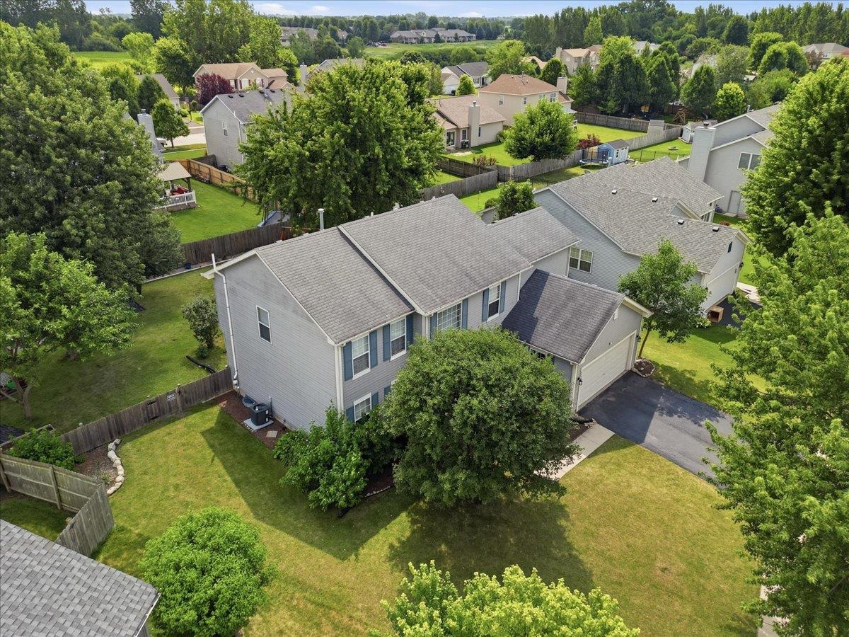 3464 Basswood