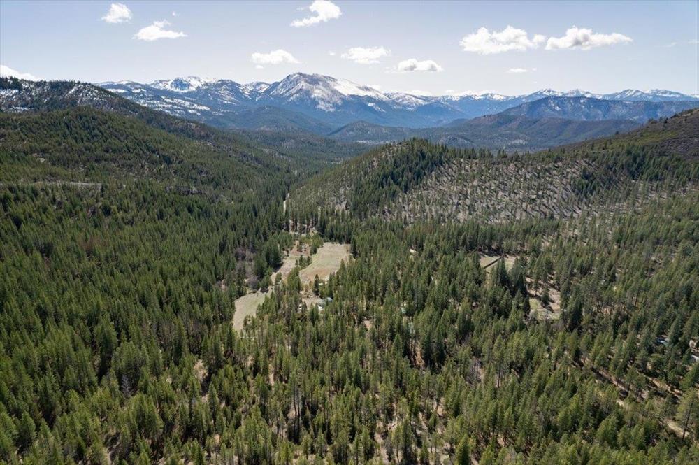 6409 Kangaroo Creek Rd., Gazelle