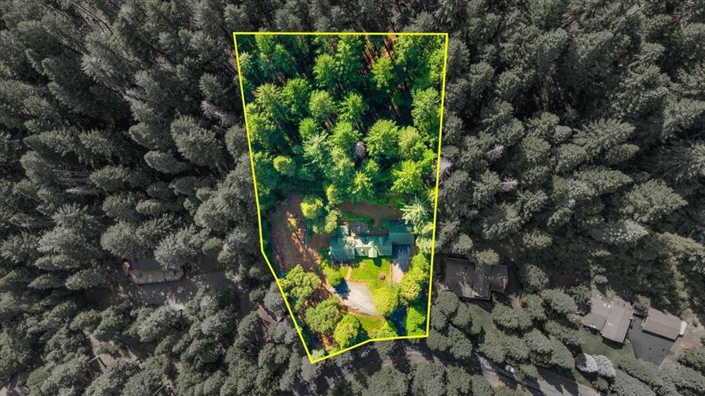 1224 Timber Hills Rd., Mt Shasta