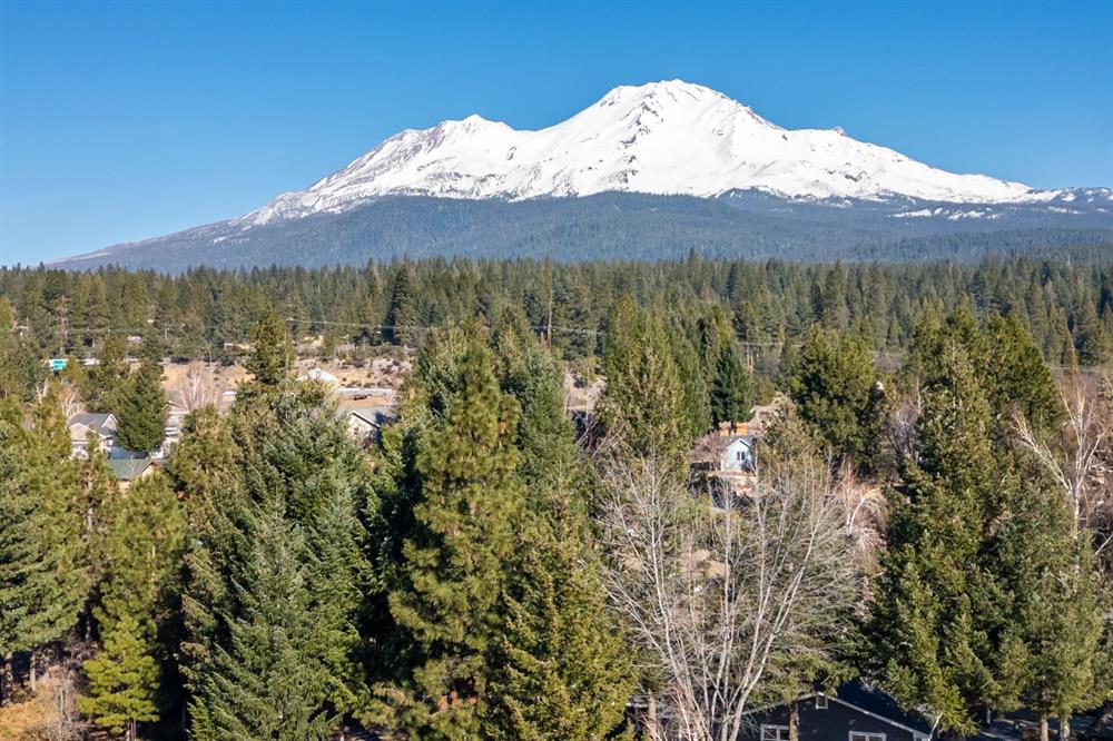 2620 Fryers Way, Mt Shasta