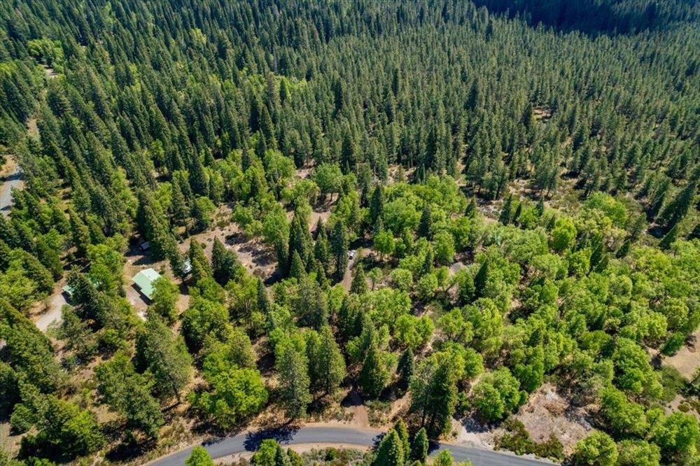 4838 Hotlum Drive, McCloud