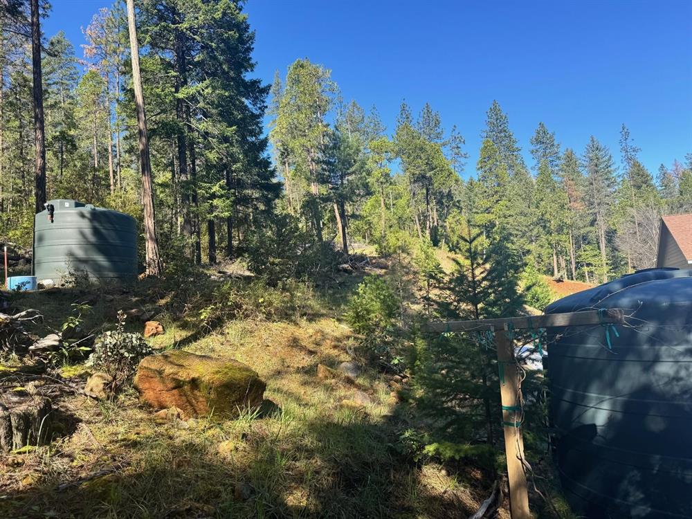 36650 Highway 96, Horse Creek