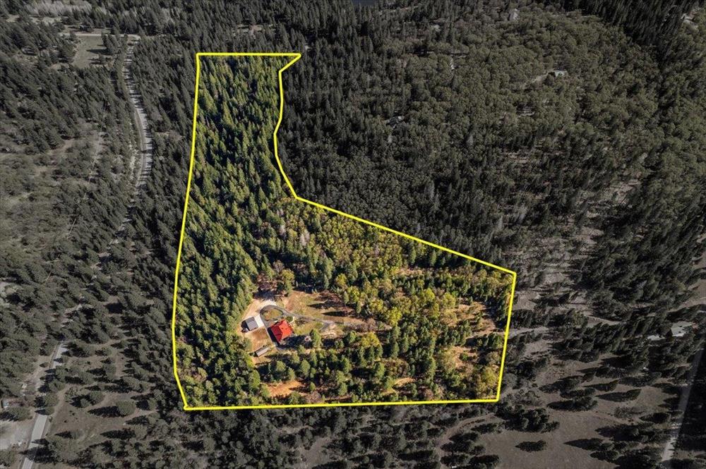 3312 Columbine Road, Weed