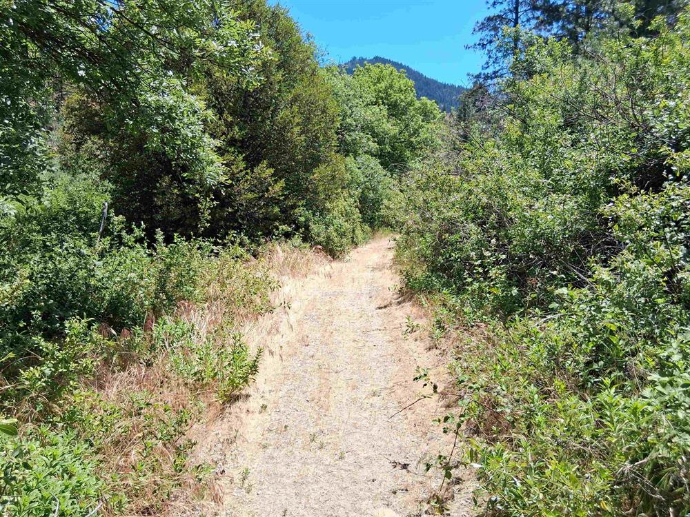 38727 Hwy 96, Seiad Valley