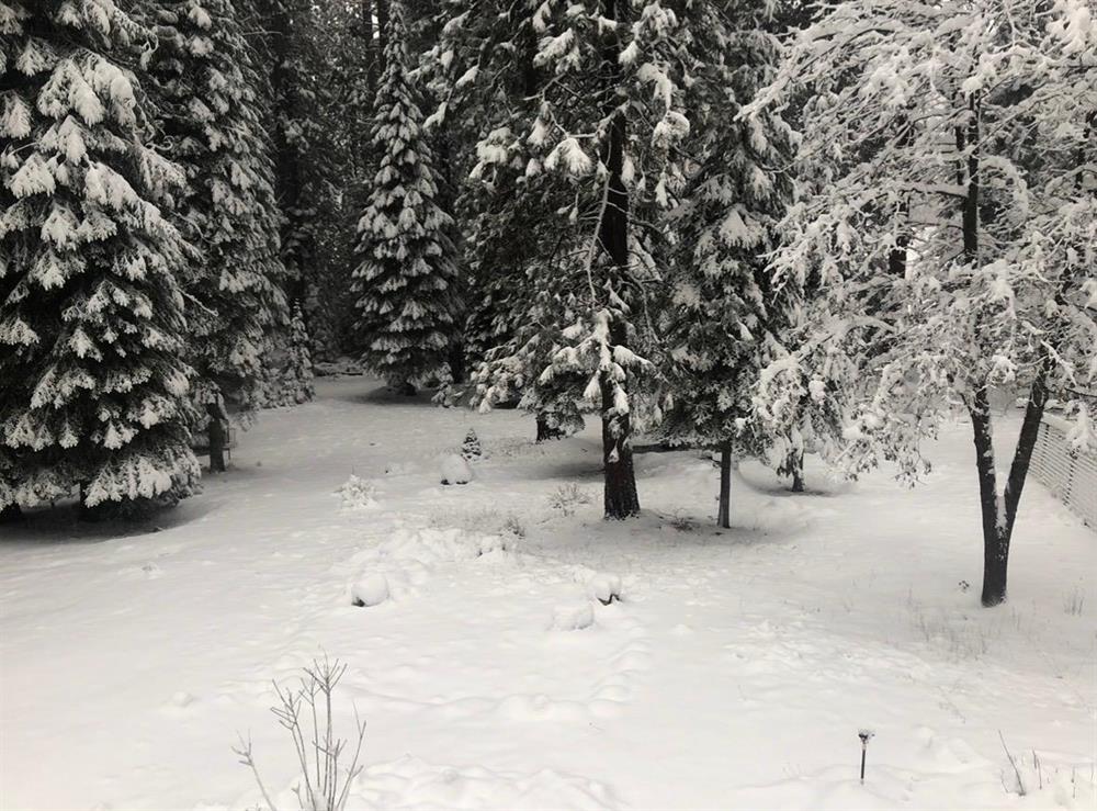 2939 Squaw Valley Rd., McCloud