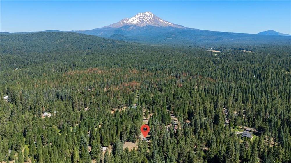 532 Shasta Pines Drive, McCloud