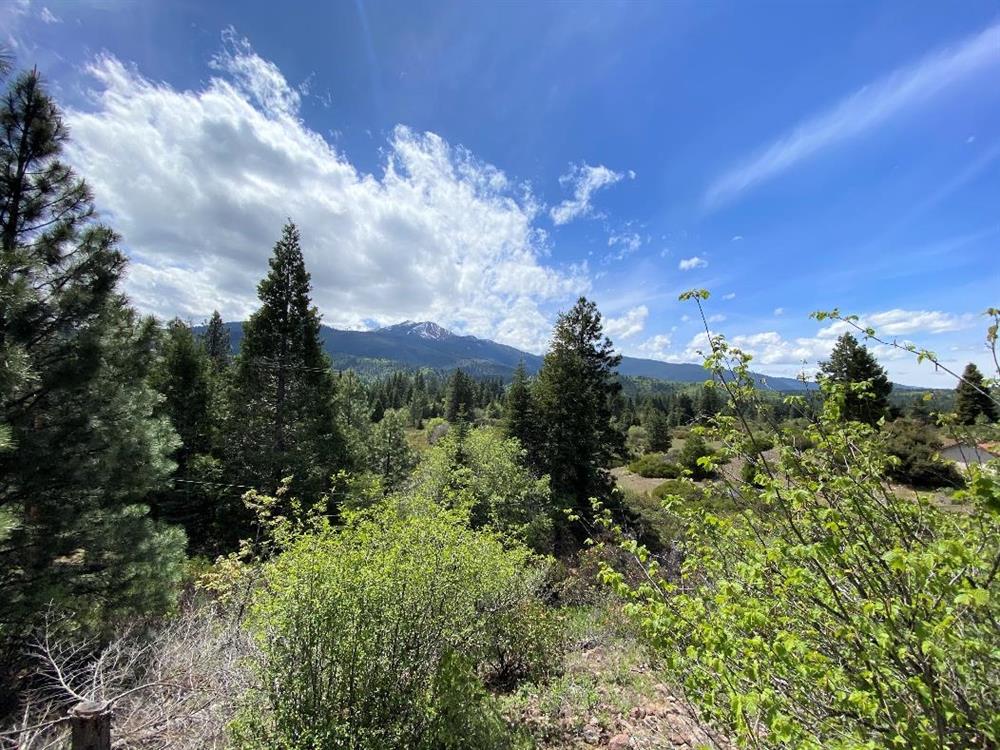 4509 N Old Stage, Mt Shasta