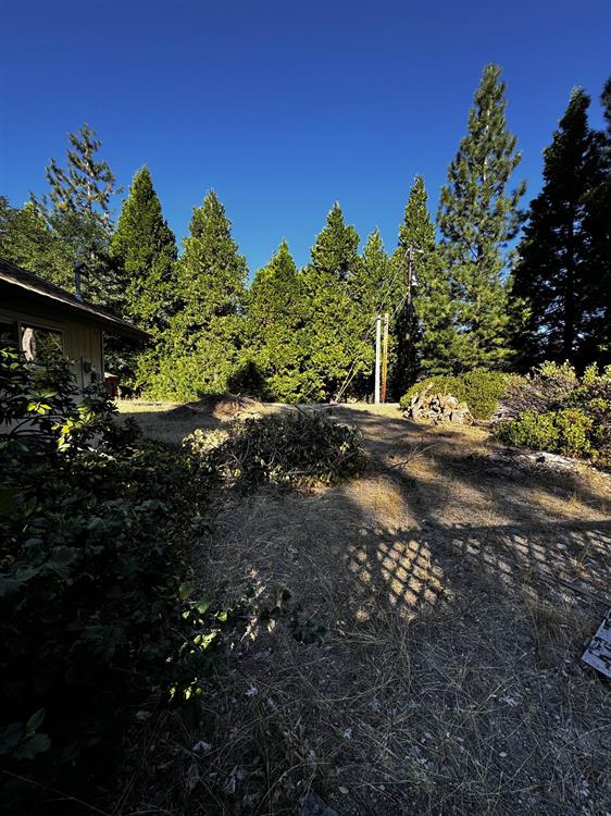 4509 N Old Stage, Mt Shasta