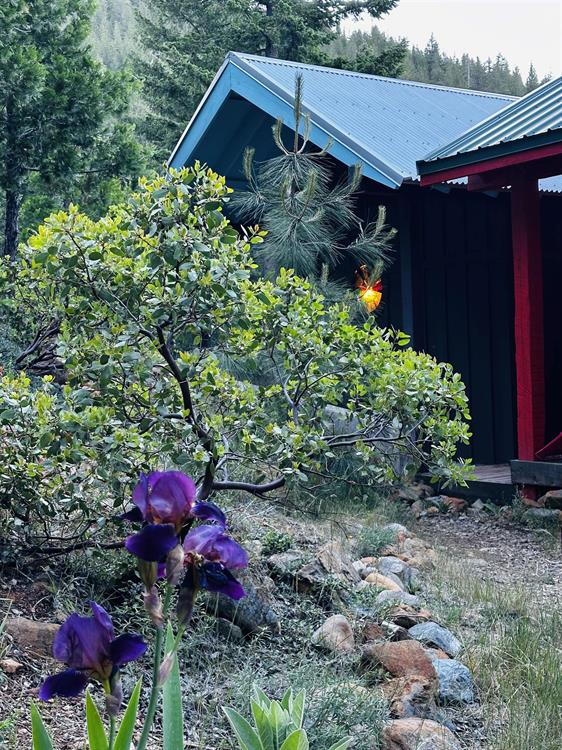 3812 Dale Creek Rd., Weed