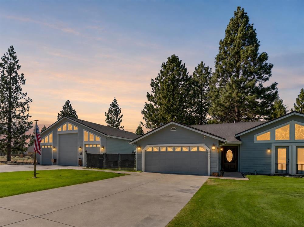 6435 Rodriquez, Weed